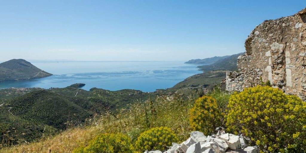 Κολοκυθιά