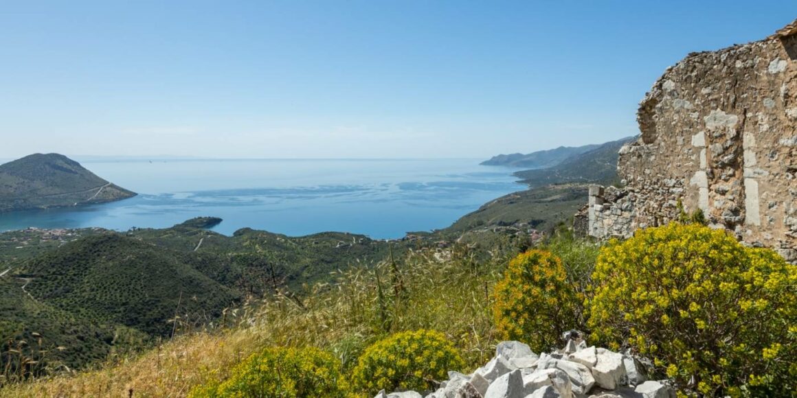 Κολοκυθιά