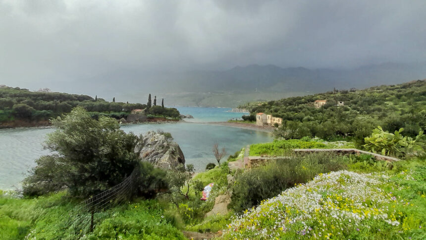 Κότρωνας